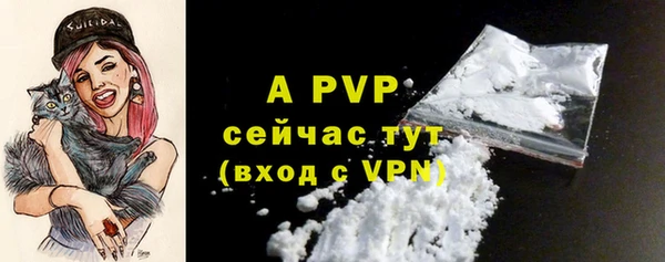 apvp Арсеньев