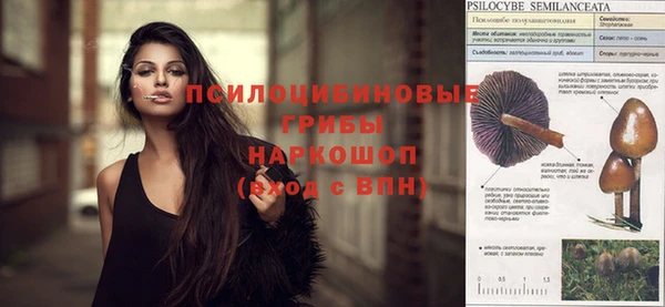 шишки Аркадак