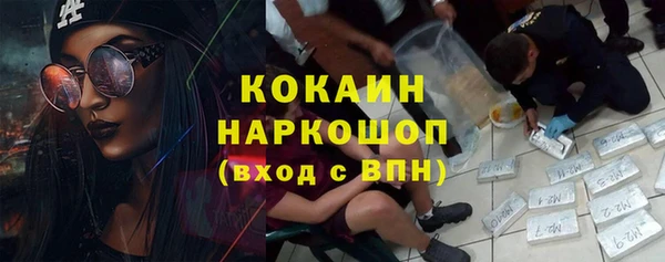шишки Аркадак
