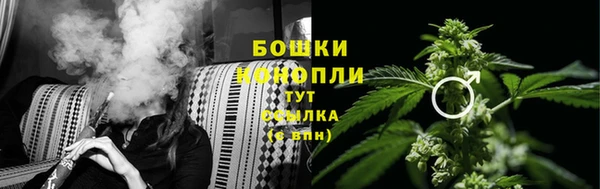 apvp Арсеньев
