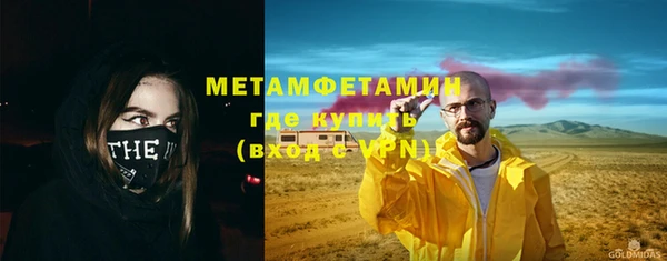 шишки Аркадак