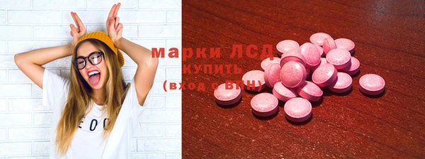 шишки Аркадак