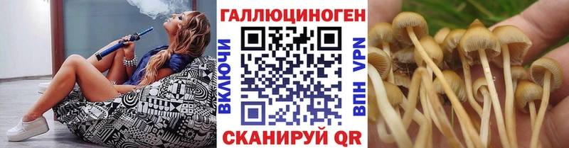 Псилоцибиновые грибы Cubensis  ссылка на мегу ссылки  Окуловка 