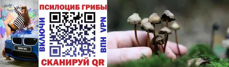 Псилоцибиновые грибы Magic Shrooms Окуловка